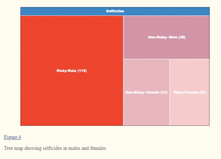 A chart illustrating the number of risky vs. non-risky “selfiecides” broken down according to sex.
